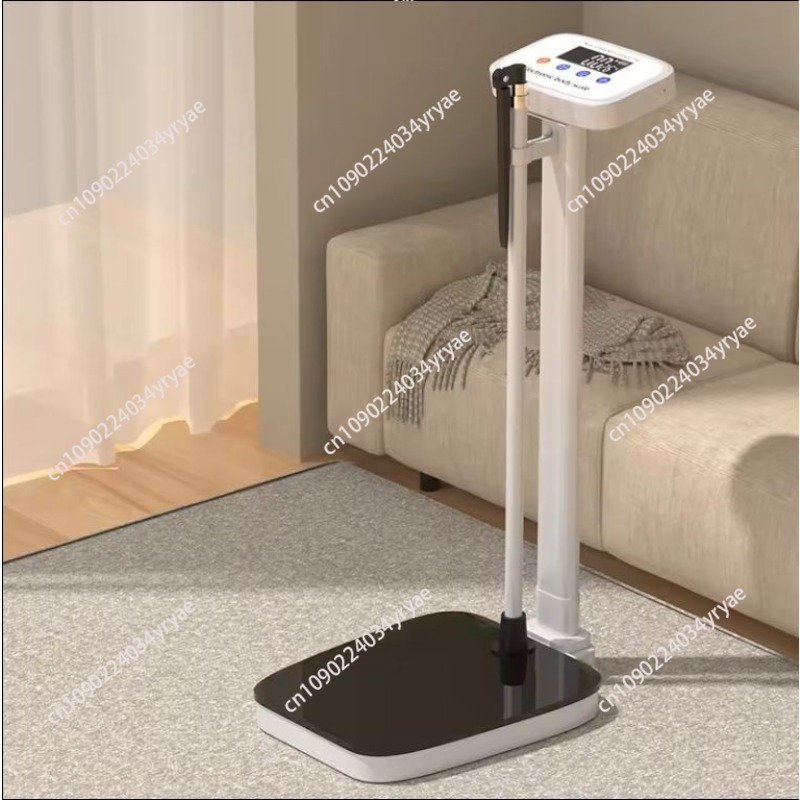 Smart body scale connection AP - огляд і ціна Digital Body Weight Scale