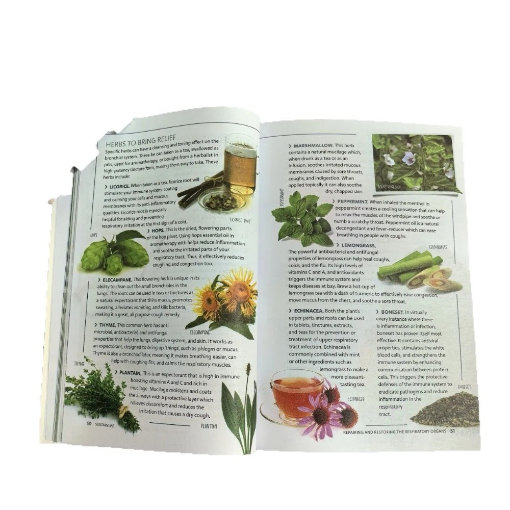 Sustain Me English Paperback B - огляд і ціна Health Wellness Foundation