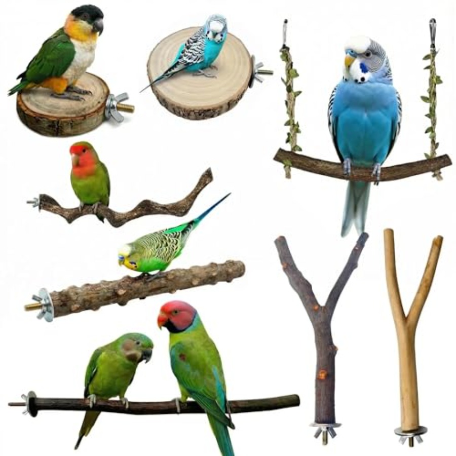 8PCS natural wood bird perches - огляд і ціна Health & Wellness Nurse Coach