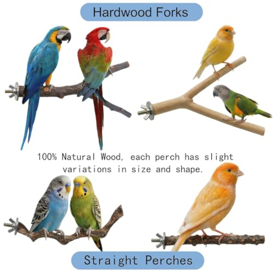 8PCS natural wood bird perches - огляд і ціна Health & Wellness Nurse Coach